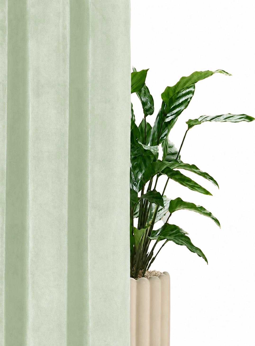 OTTO home Vorhang »Velvet Uni, Ösen, blickdicht, 2er-Set, Samt« Ösen 2 Stk. tlg. Blickdichter Samt, 2-er Set, edel, Gardine, multifunktional,