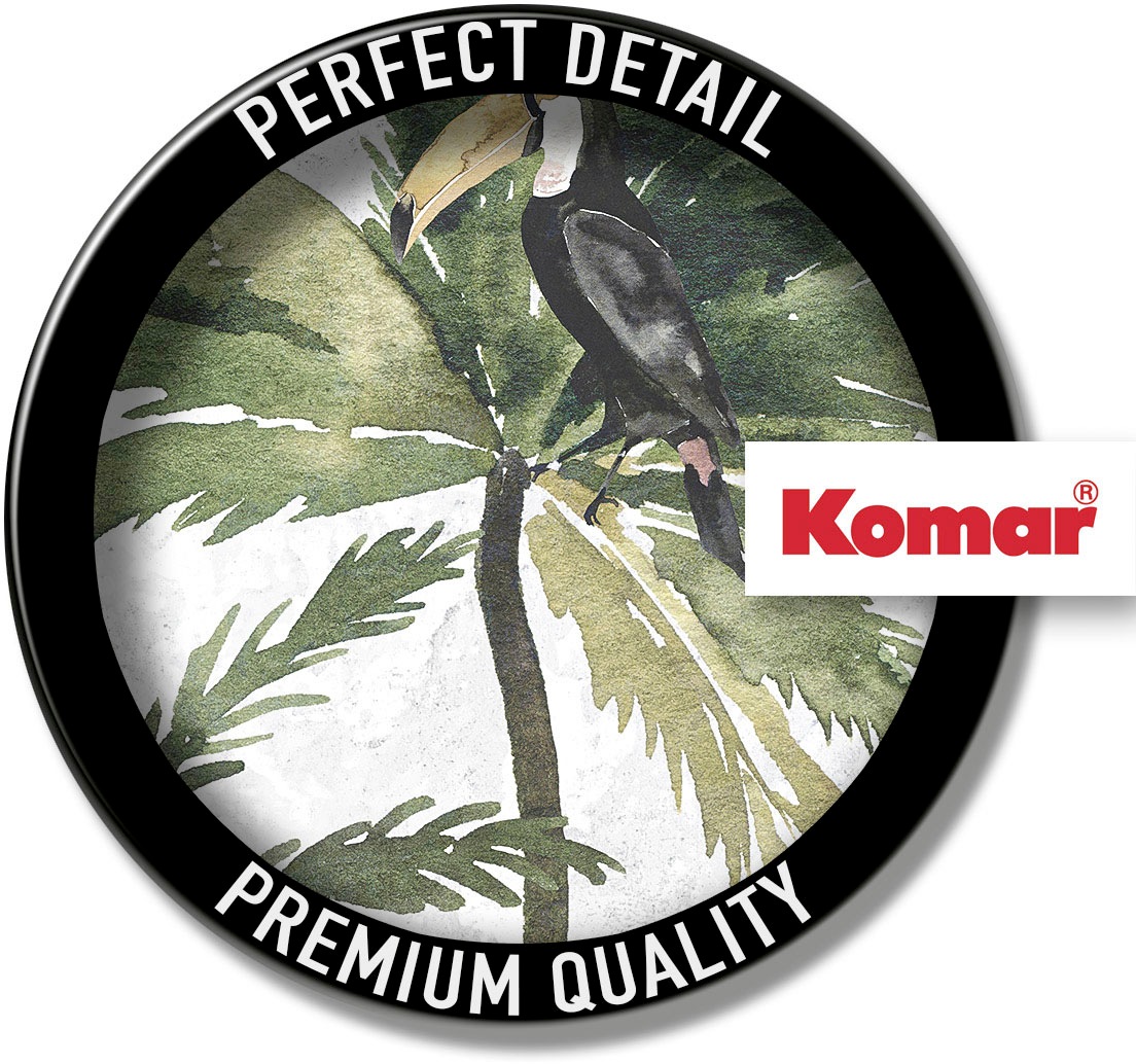 Komar Bild »Tropical Toucan« Natur 1 Stk. tlg. Wandbild zur Dekoration - ohne Rahmen