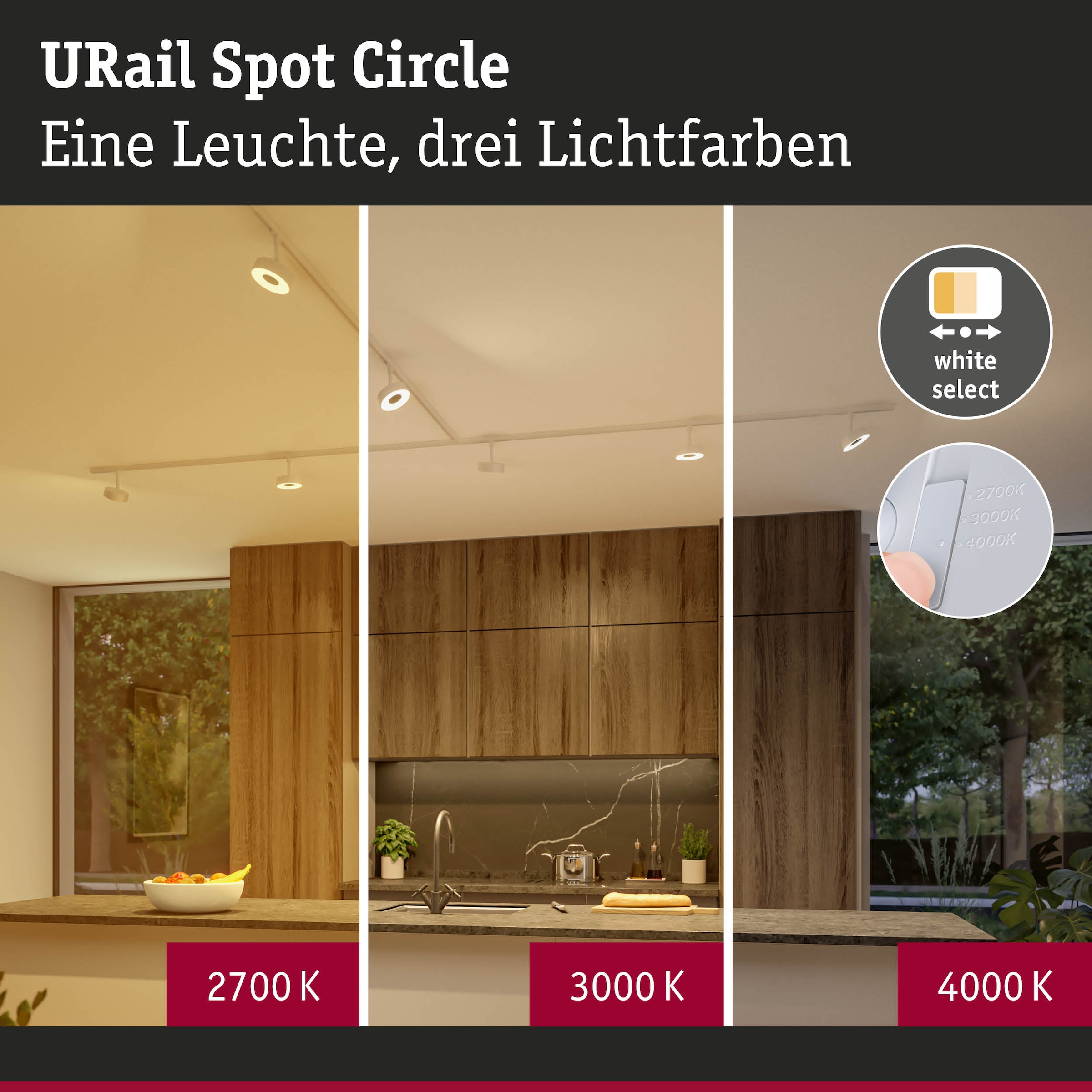 Paulmann Schienensystem-Leuchten »URail Spot Circle 1x5W 2700-4000K 230V« LED-Modul 1 Stk. Farbwechsler Dimmbar