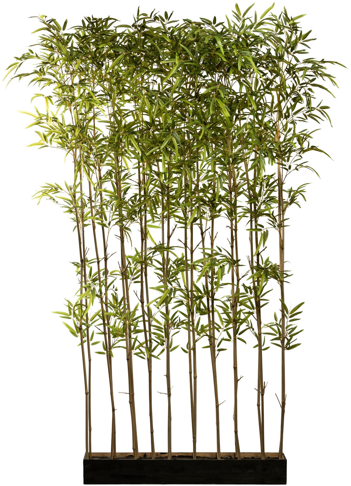 Creativ Künstliche im green bestellen »Bambusraumteiler«, Zimmerpflanze bequem Holzkasten