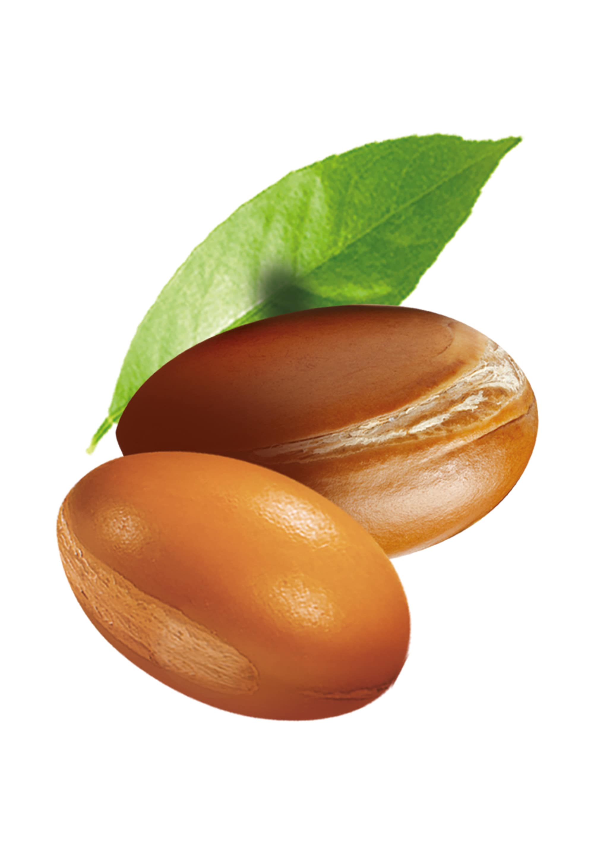 GARNIER Haaröl »GARNIER WAHRE SCHÄTZE ARGAN & CAMELIA ÖL«