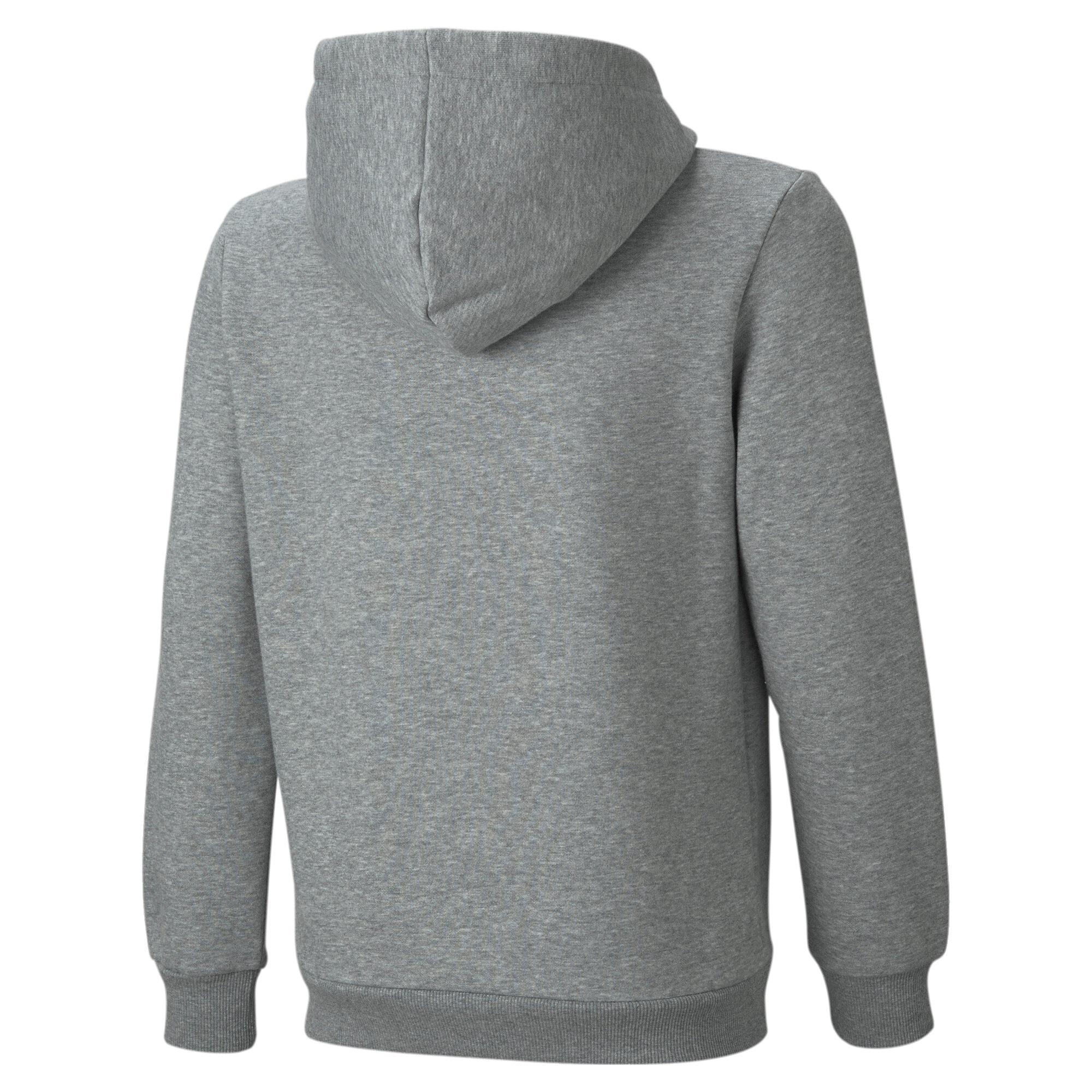 PUMA Kapuzensweatshirt »ESS BIG LOGO HOODIE FL B«