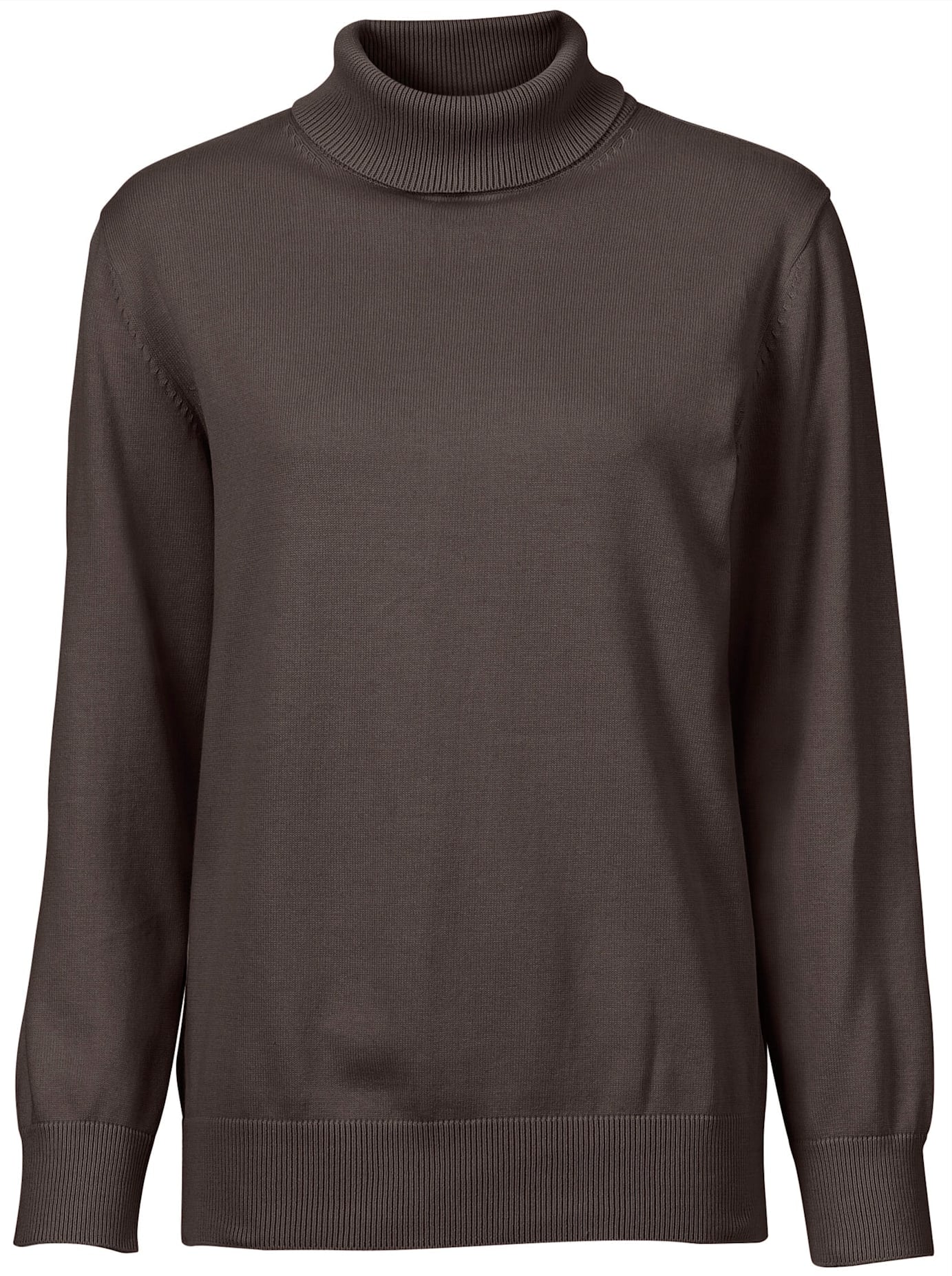 Casual Looks Rollkragenpullover »Pullover«