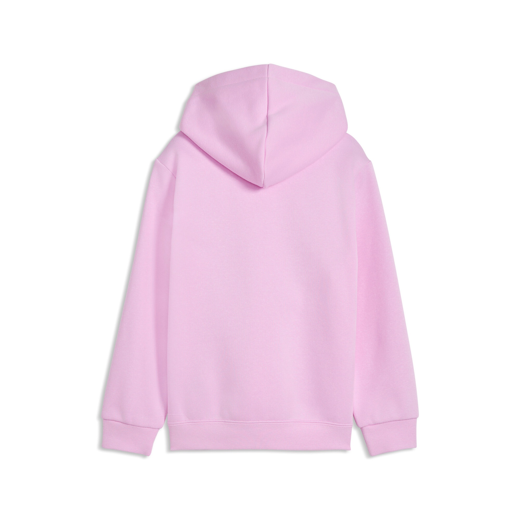 PUMA Kapuzensweatshirt »ESS NO. 1 LOGO HOODIE FL PS«, mit Kapuze, mit gerippten Bündchen, mit Jerseyfutter
