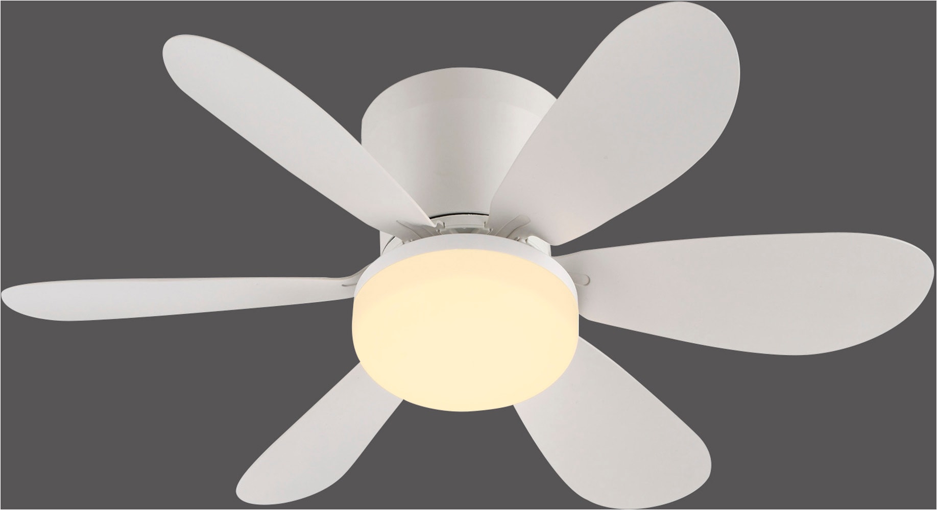 JUST LIGHT LED Deckenleuchte »MINIAIR« LED-Board 1 Stk. warmweiß - kaltweiß Ventilatorfunktion in 3 Geschwindigkeitsstufen, mit Timer 2h/4h/8h