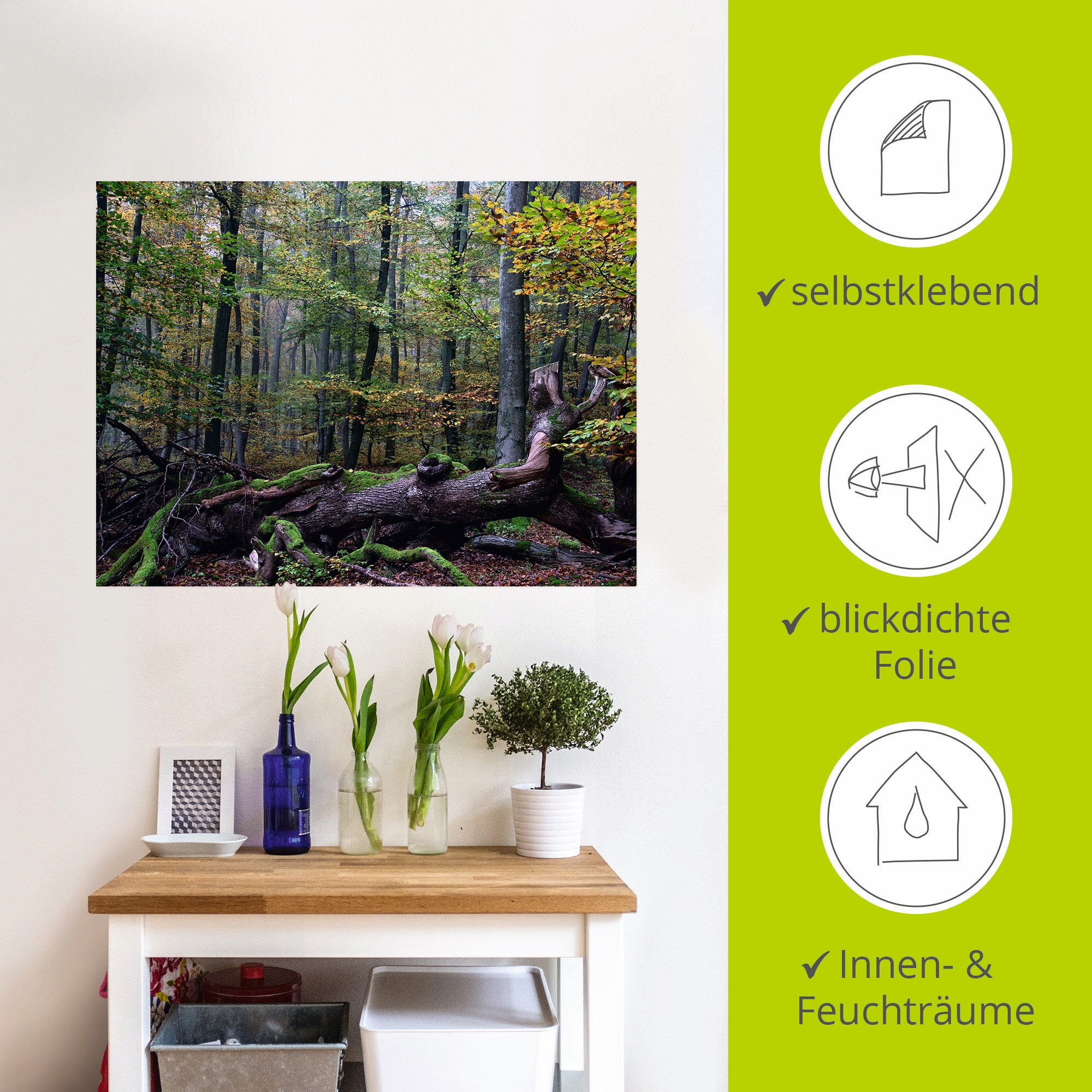 Artland Wandfolie »Ein alter Riese, neuer Lebensraum«, Wald, (1 St.), selbstklebend