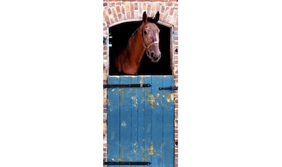 Papermoon Fototapete »Horse - Türtapete«, matt, Vlies, 2 Bahnen, 90 x 200 cm kaufen
