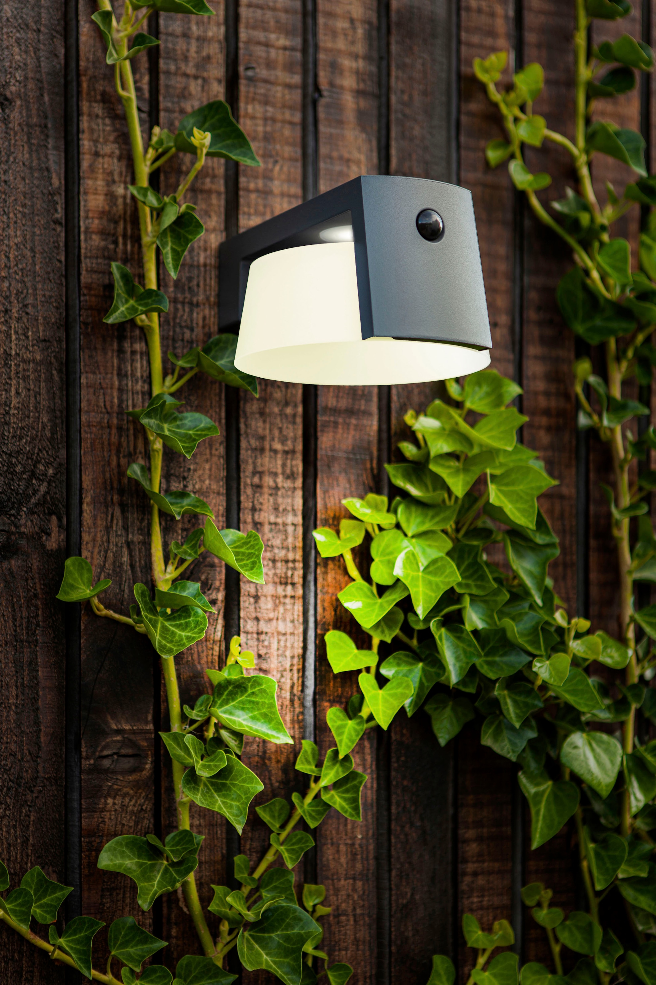 LUTEC LED Solarleuchte »MOON«, Leuchtmittel LED-Modul | LED fest integriert