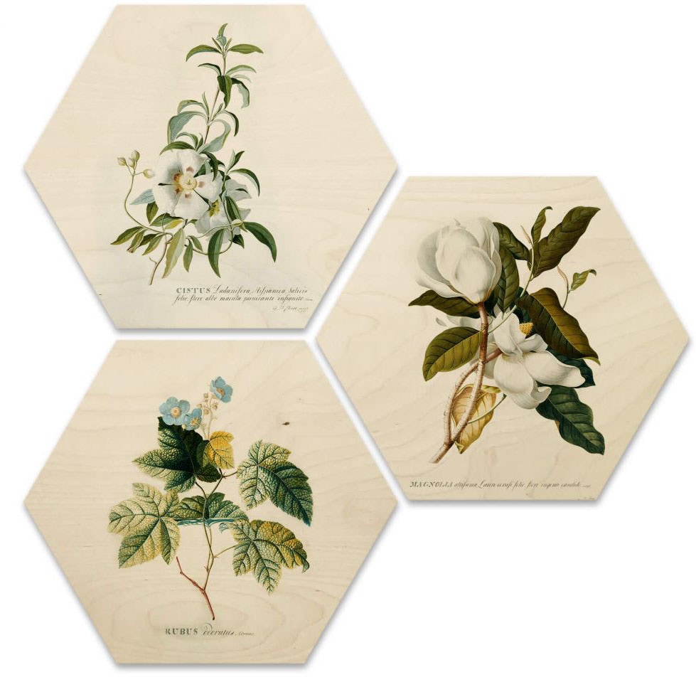 Wall-Art Mehrteilige Bilder »Botanische St.) 3 Collage bestellen auf Raten (Set, Floral«, Blumen