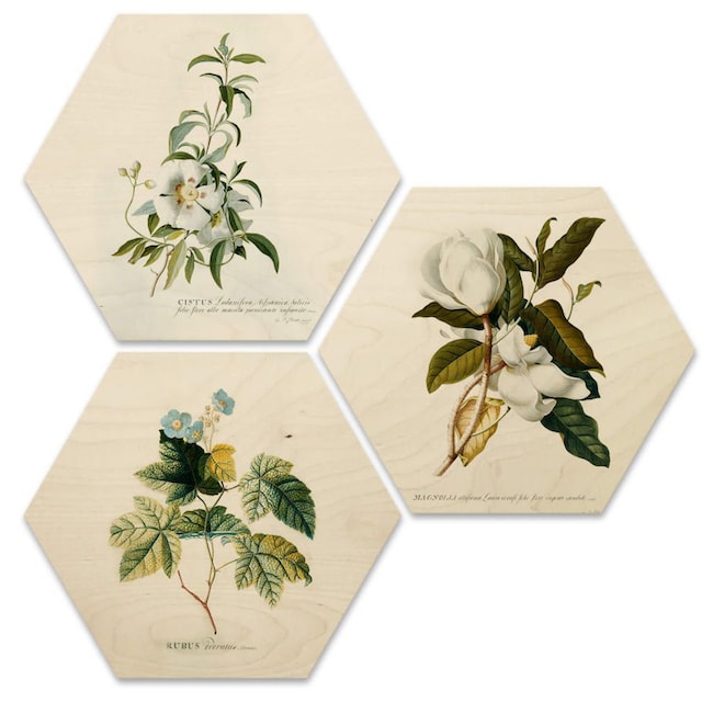 bestellen Mehrteilige Collage Bilder St.) »Botanische Floral«, auf Raten 3 Wall-Art Blumen (Set,