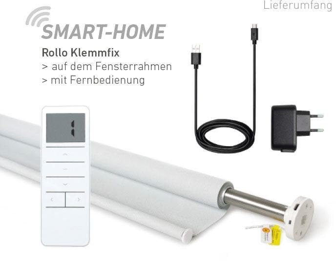 Good Life Elektrisches Rollo »Vau - SMART HOME«, Lichtschutz, ohne Bohren,  mit Fernbedienung