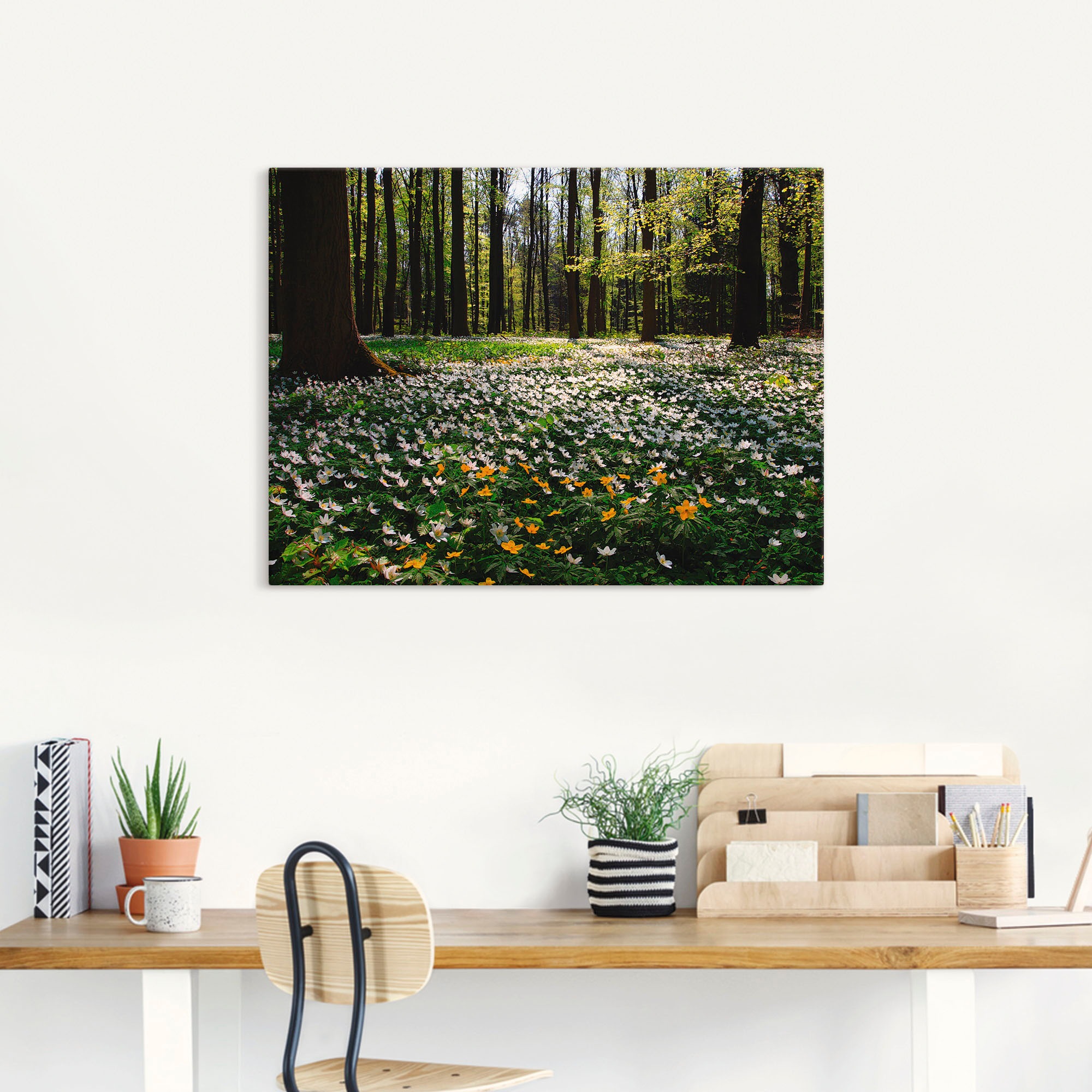 Artland Wandbild »Frühlingswald bedeckt mit Windröschen« Wald 1 Stk. tlg. als Leinwandbild, Poster in verschied. Größen