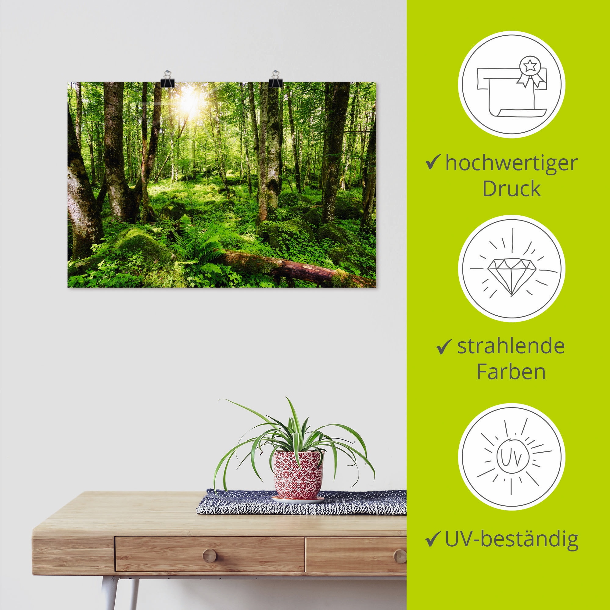 Artland Wandbild »Wald« Wald 1 Stk. tlg. als Leinwandbild, Poster, Wandaufkleber in verschied. Größen