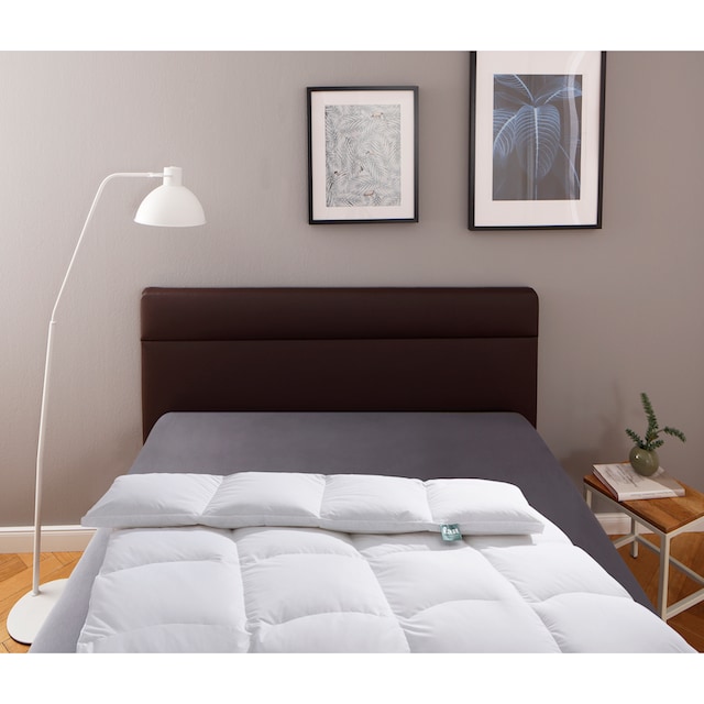 f.a.n. Schlafkomfort Daunenbettdecke »f.a.n. Canada«, normal, (1 St.)  online kaufen