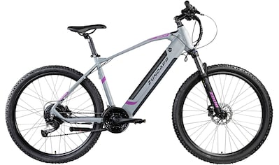 E-Bike »Z808«, 24 Gang, Alivio, Heckmotor 250 W