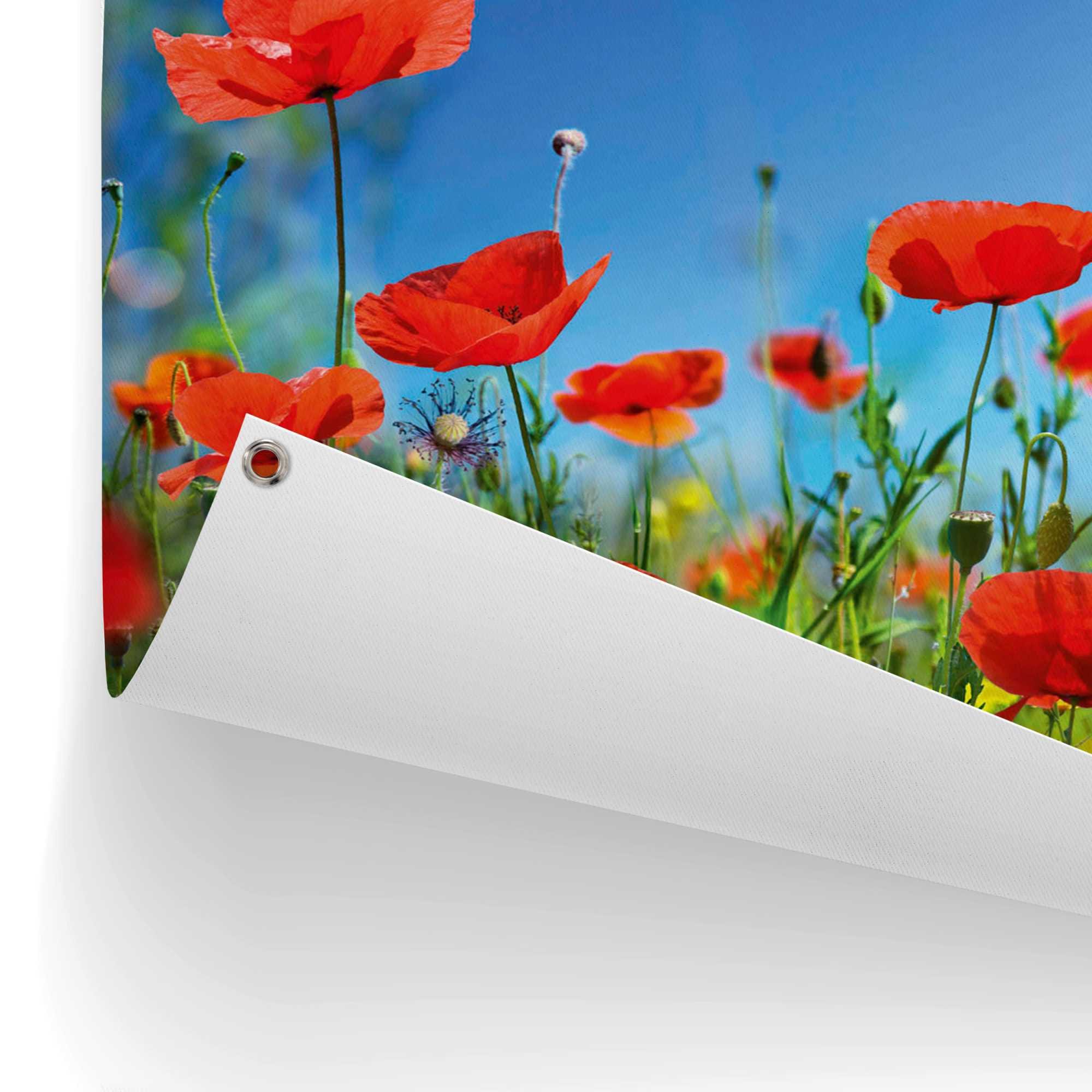 Reinders! Poster »Sommerblumen«, Outdoor für Garten oder Balkon