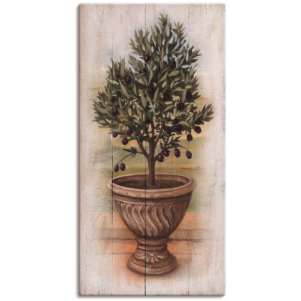 Artland Leinwandbild »Olivenbaum mit Holzoptik«, Pflanzen, (1 St.), auf Keilrahmen gespannt