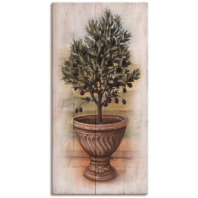 Artland (1 St.), auf als Holzoptik«, Rechnung Wandaufkleber Wandbild Pflanzen, Poster mit »Olivenbaum oder kaufen versch. Größen in Leinwandbild,