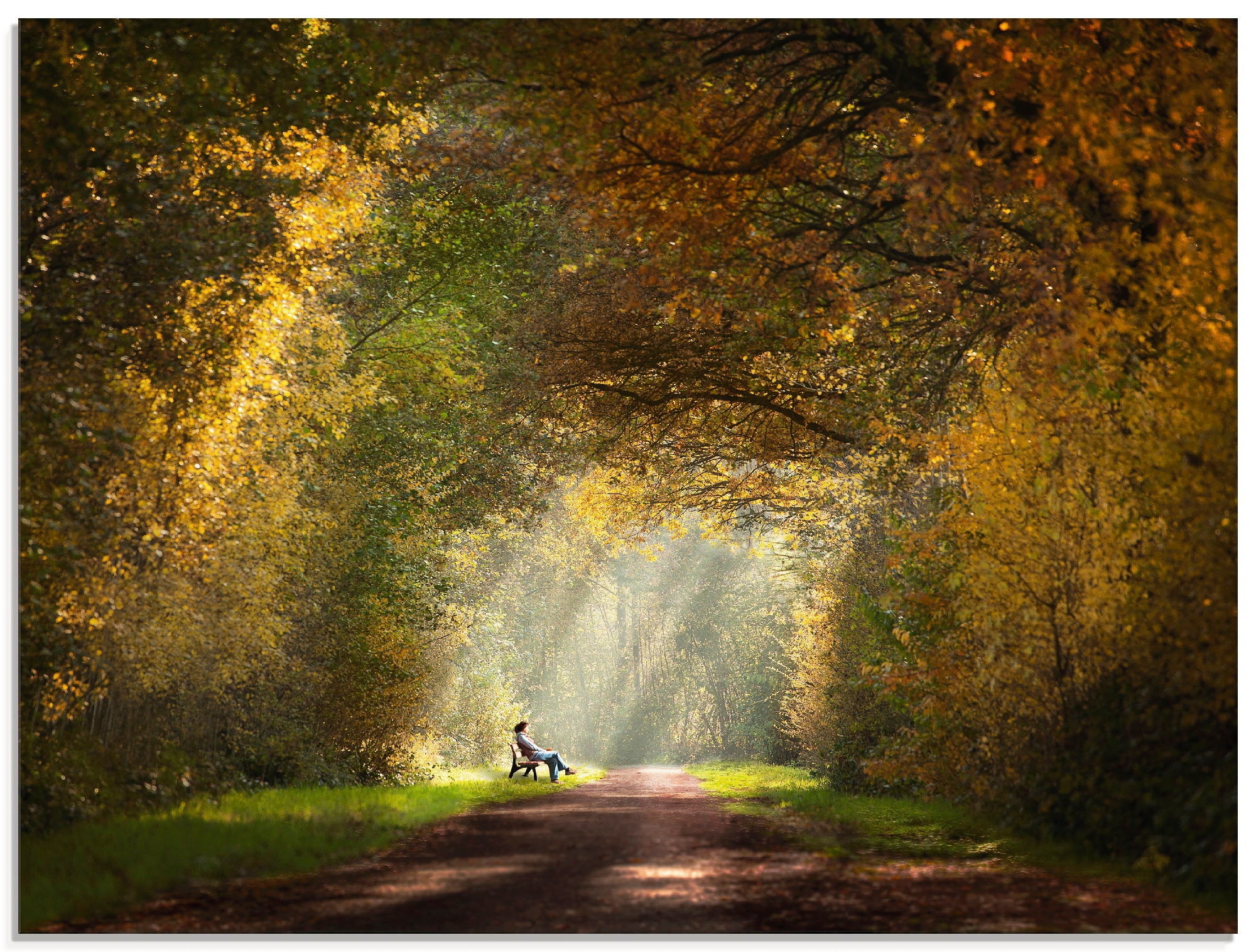 Artland Glasbild »Licht am Ende des Tunnels...«, Wald, (1 St.), in  verschiedenen Größen auf Rechnung bestellen