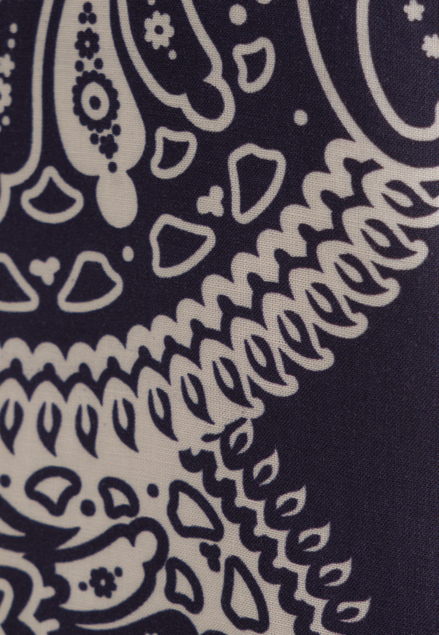 seidensticker Culotte