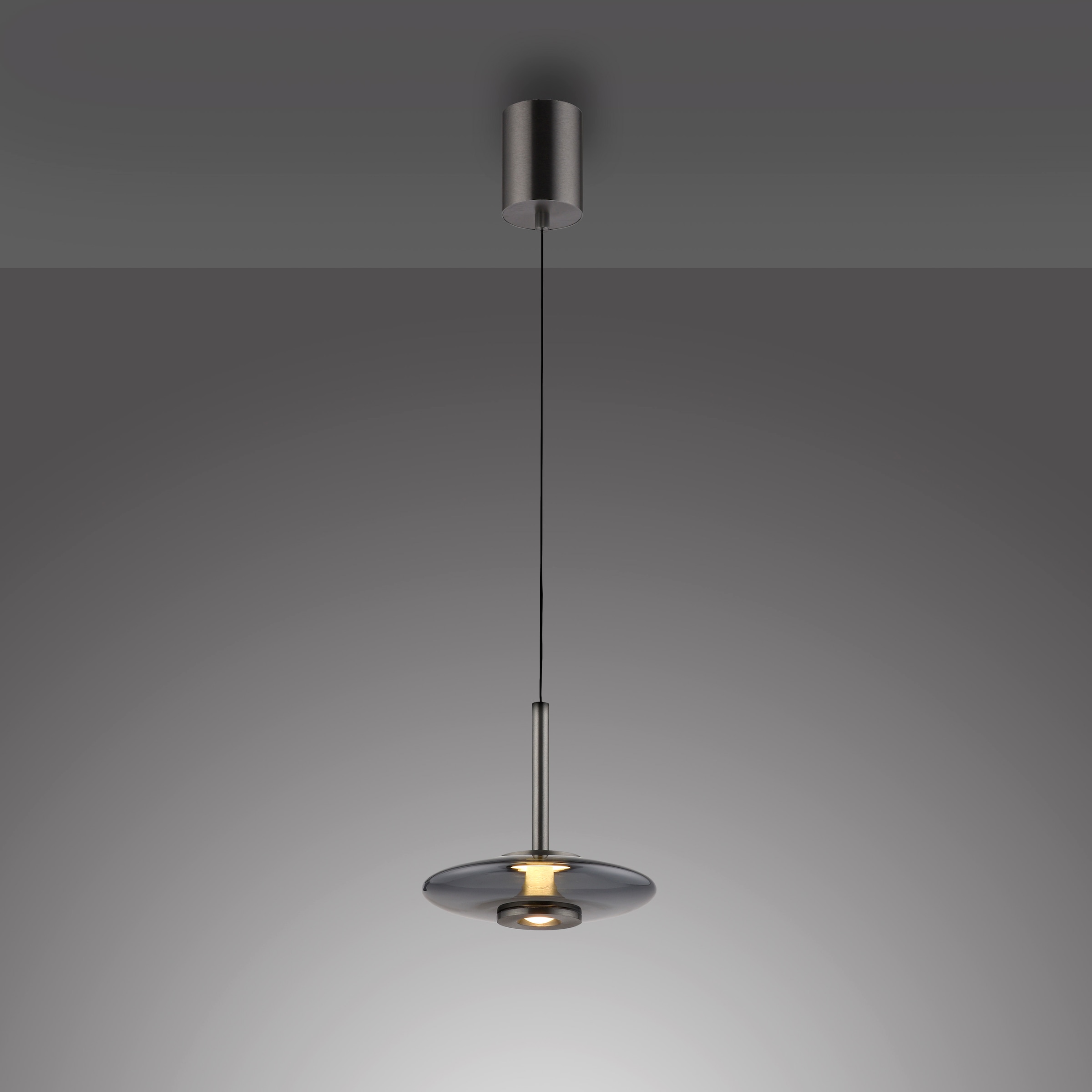 Neuhaus PURE LED Pendelleuchte »PURE Vitrum« LED-Board 1 Stk. Warmweiß Comfort Lift, dimmfähig über separaten Tronicdimmer