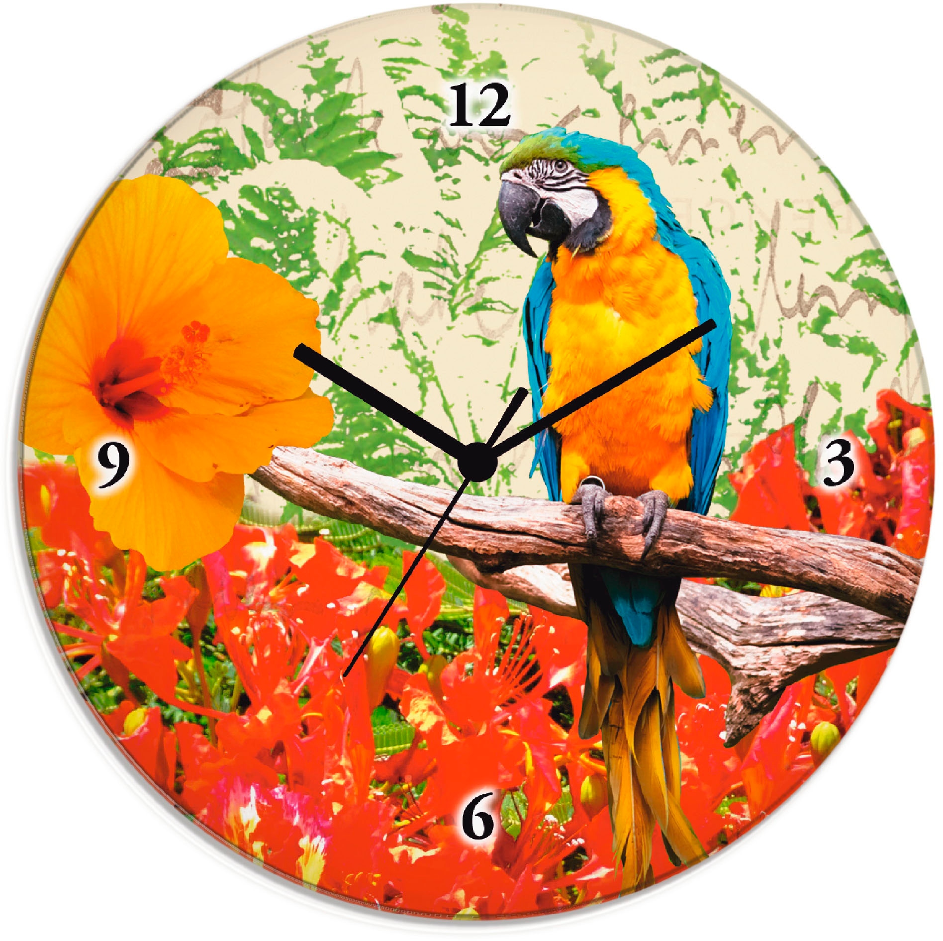 Artland Wanduhr »Papagei«, wahlweise mit auf Funhuhrwerk, ohne bestellen Tickgeräusche Rechnung lautlos oder Quarz