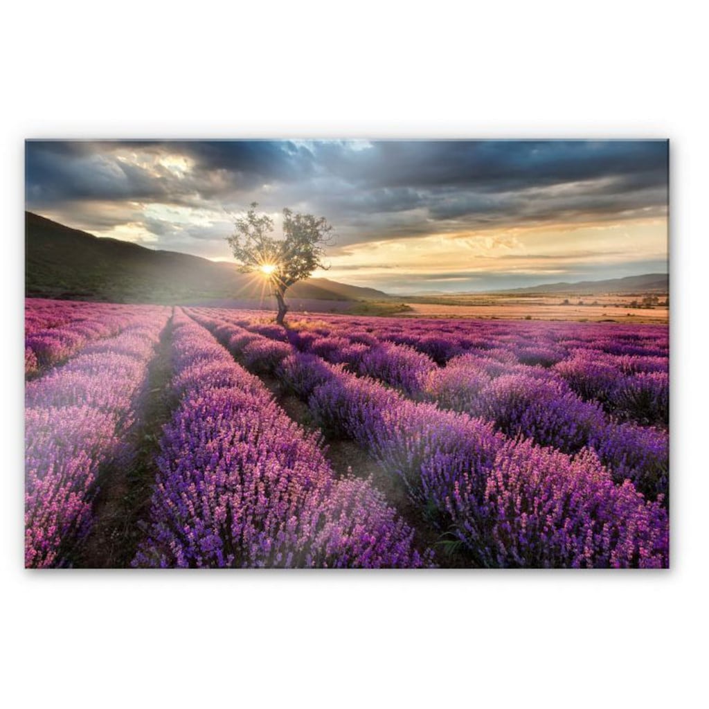 Wall-Art Küchenrückwand »Lavendel Blumen in der Provence«, (1 tlg.)