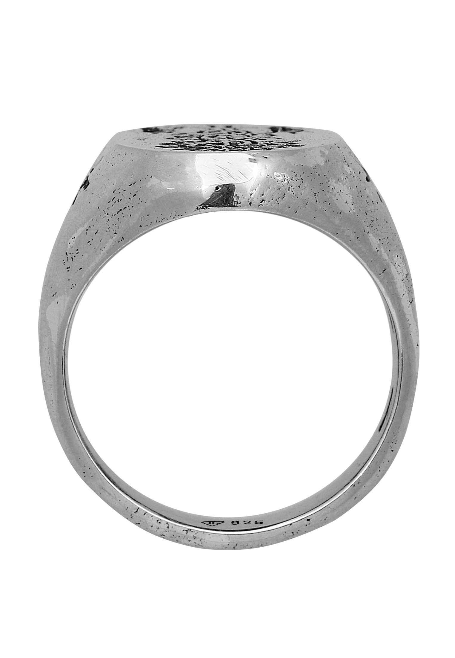 HAZE & GLORY Siegelring »Ring Siegelring - The Antidote 925 Silber«