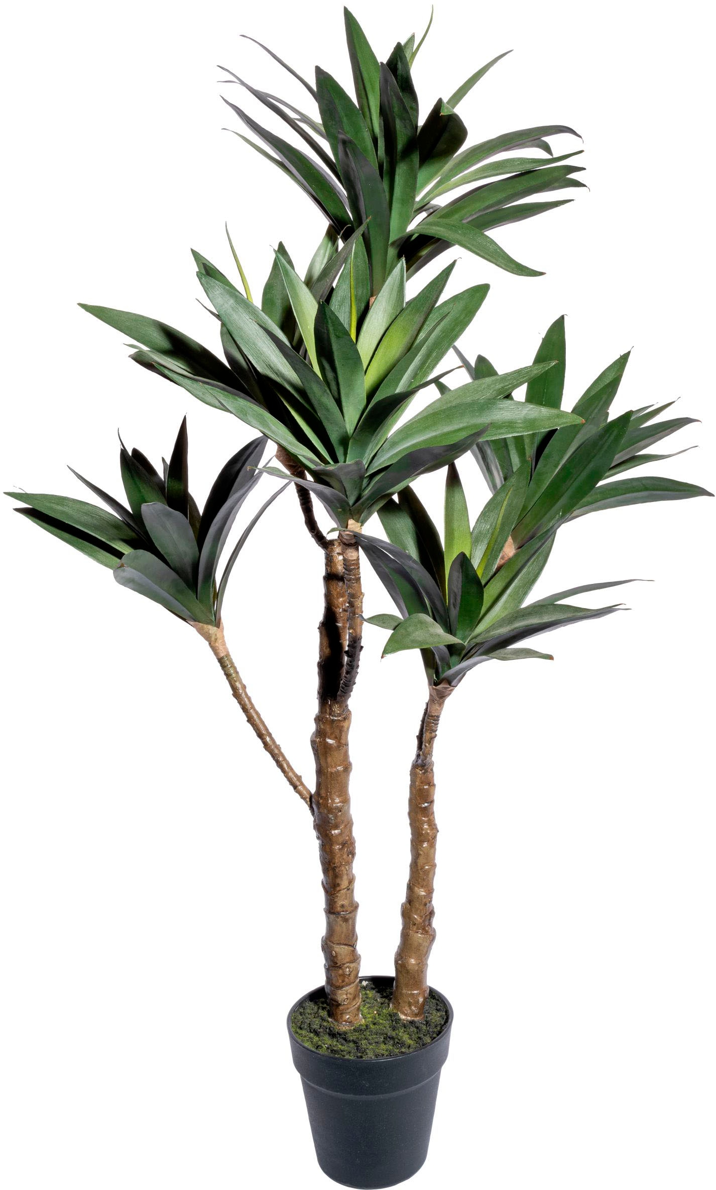 Creativ green Künstliche Zimmerpflanze »Yuccapflanze im Topf«