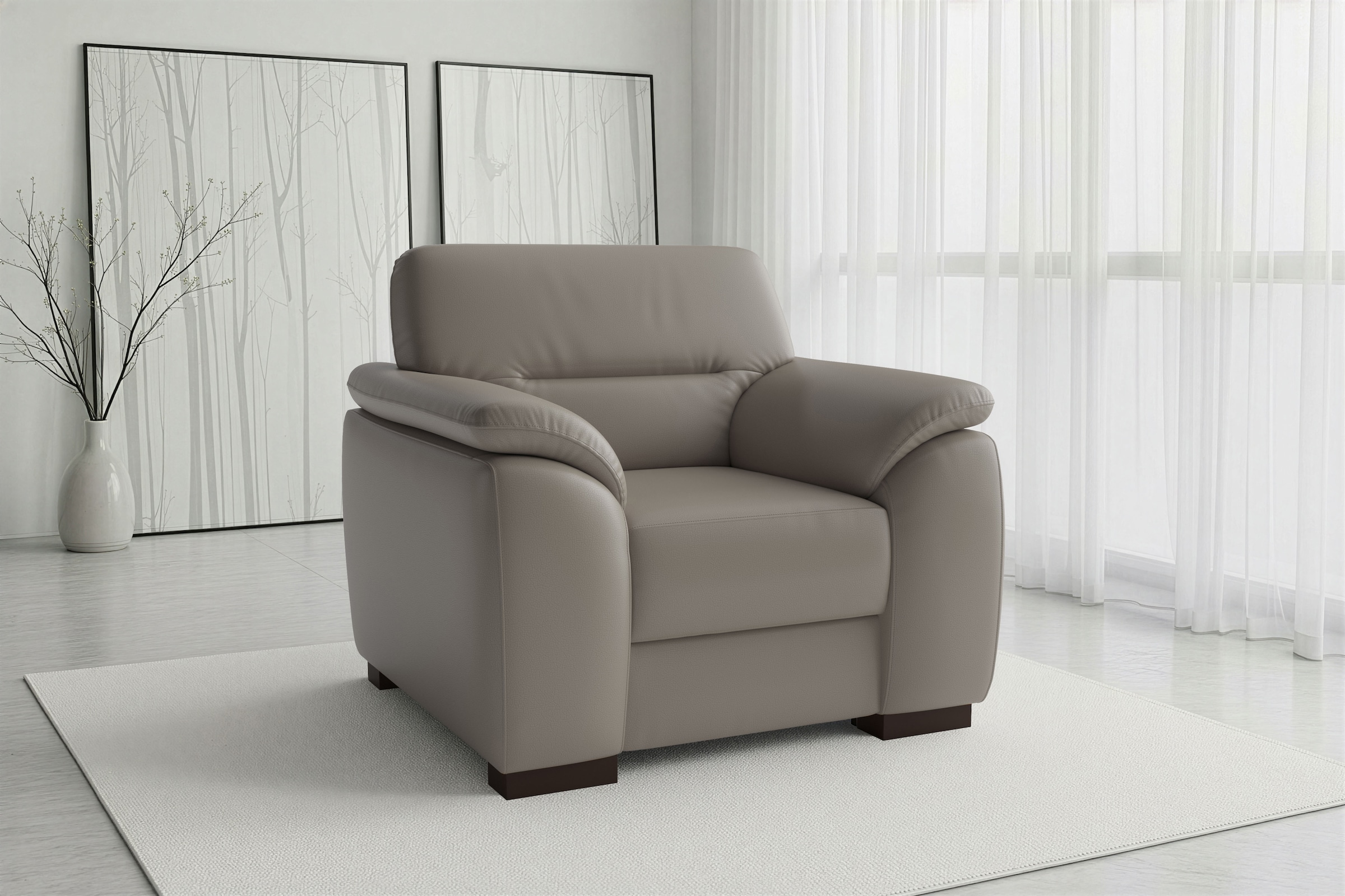 sit&more Sessel mit Federkern