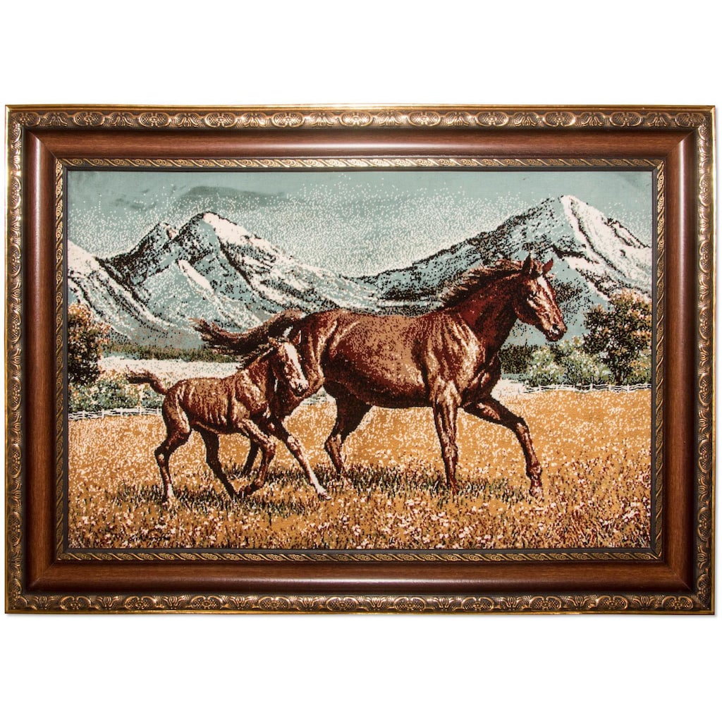 morgenland Wandteppich »Bild-Teppich Figurativ 85 x 60 cm«, rechteckig