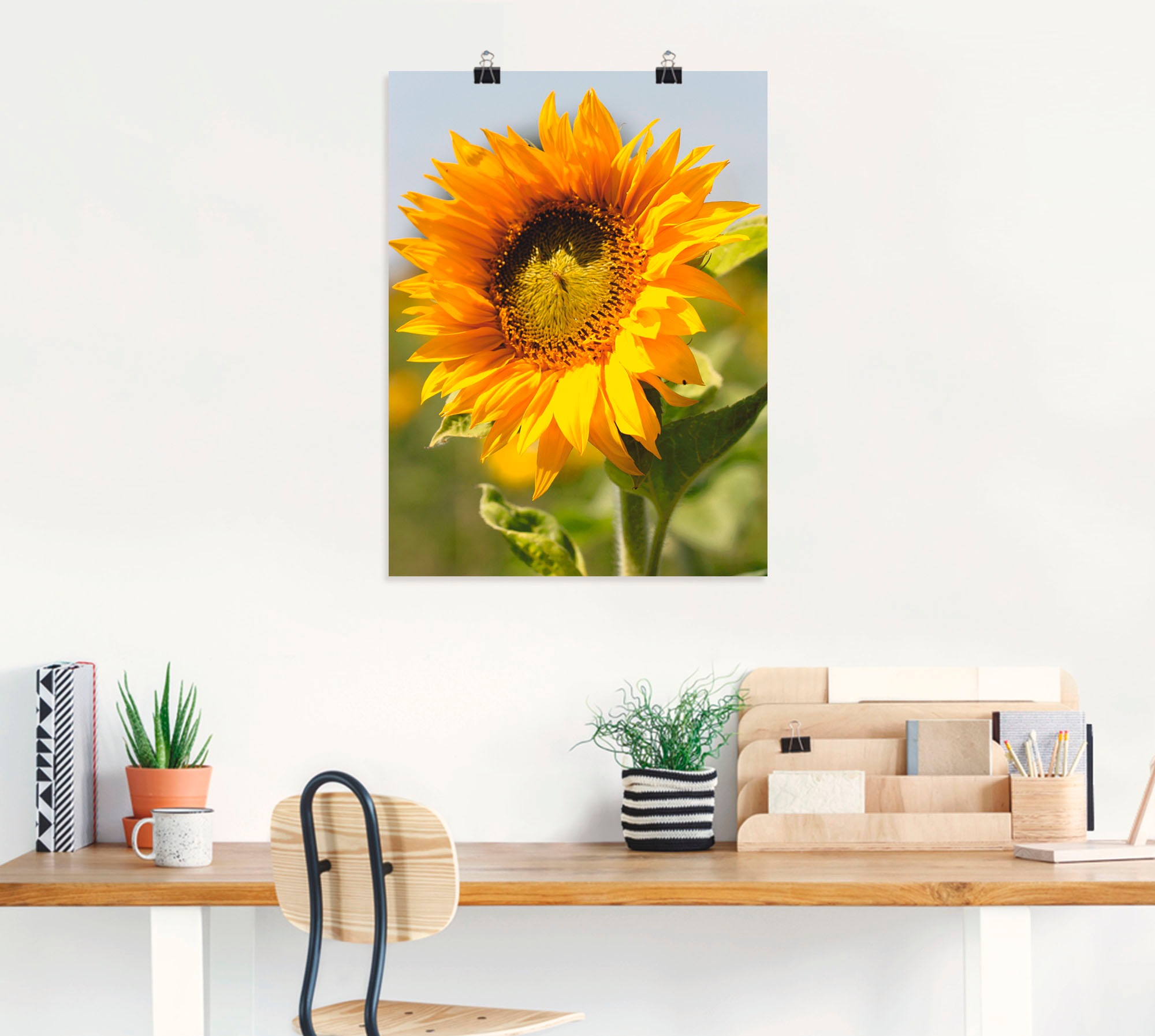 Artland Wandbild »Sonnenblume« Blumen 1 Stk. tlg. als Leinwandbild, Poster in verschied. Größen