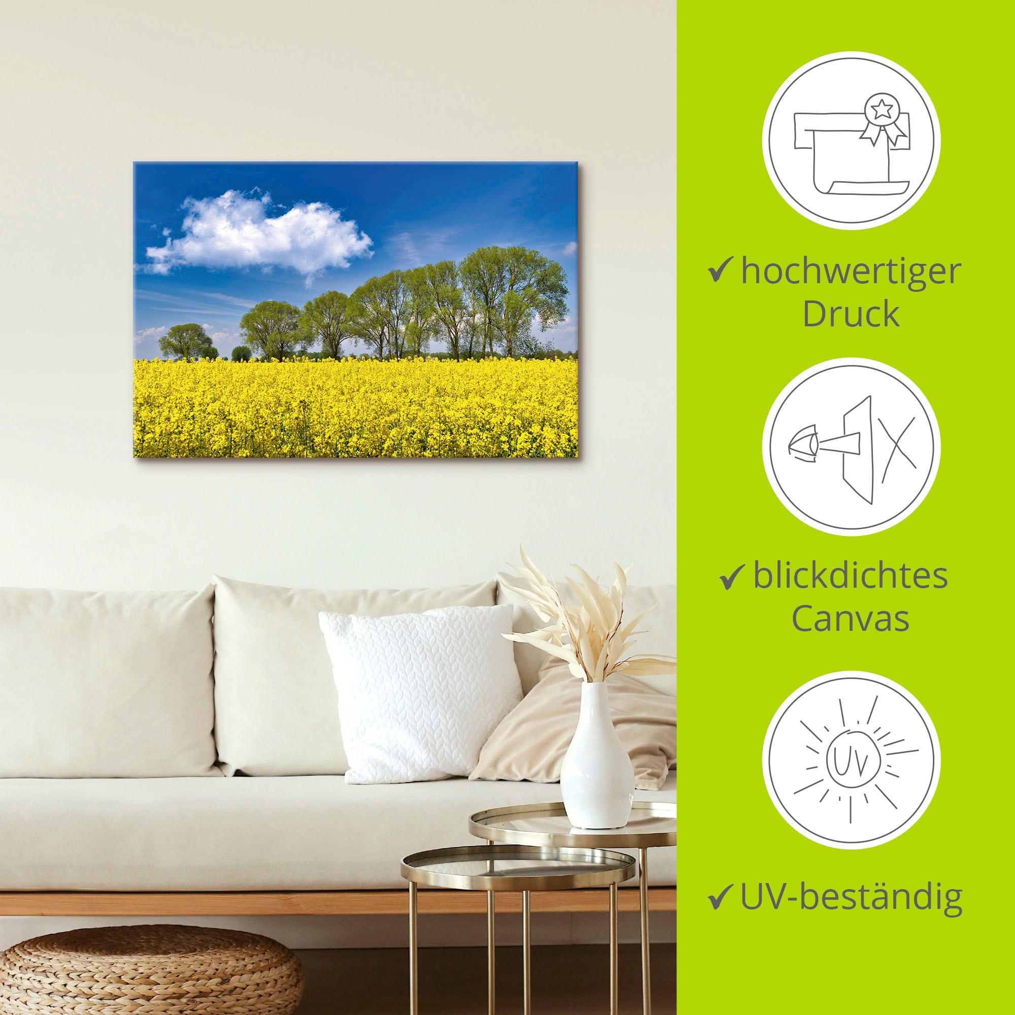 Artland Leinwandbild »Rapsfeld im Frühling«, Felder, (1 St.), auf Keilrahmen gespannt