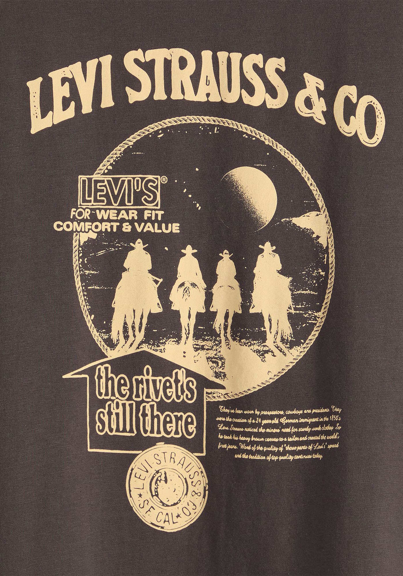Levi's® T-Shirt »VINTAGE FIT GRAPHIC TEE«, mit Logo Print