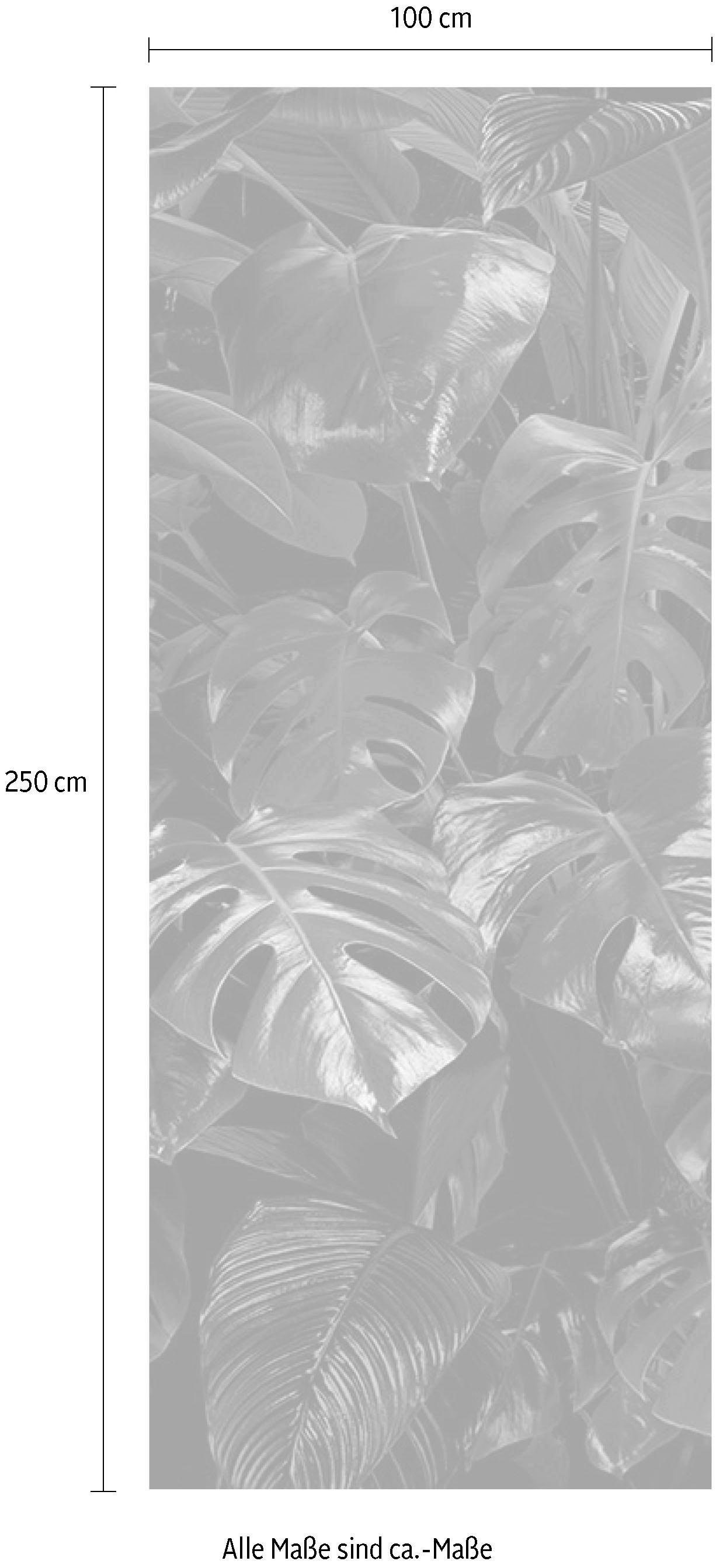 Komar Vliestapete »Digitaldruck Vlies -  Tropical Wall Panel - Größe 100 x 250 cm« bedruckt glatt Wohnzimmer, Schlafzimmer