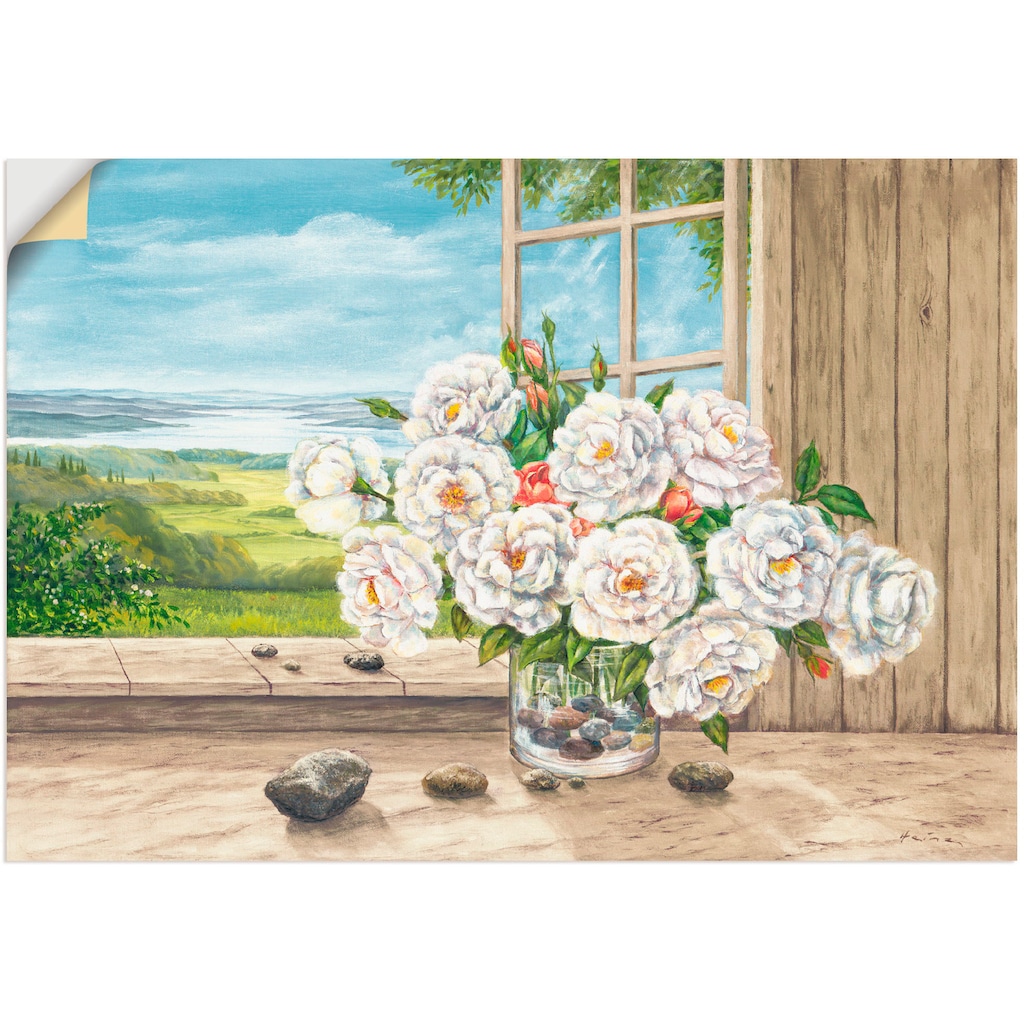 Artland Wandbild »Weiße Rosen am Fenster«, Blumen, (1 St.)