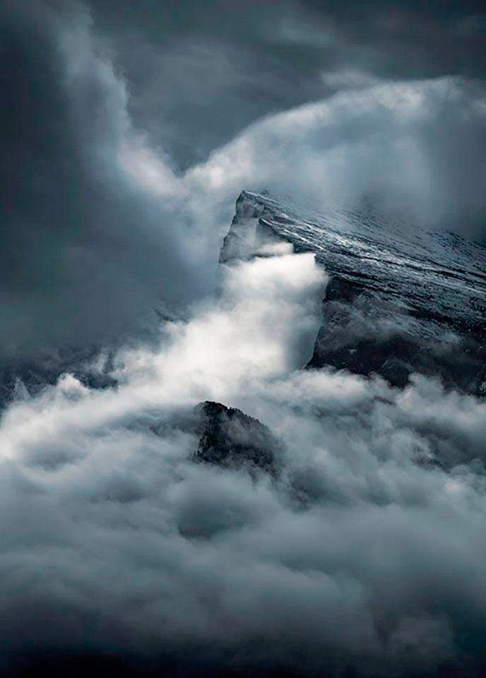 Komar Bild »Arrowhead«, Natur, (1 St.), Wandbild zur Dekoration - ohne Rahmen
