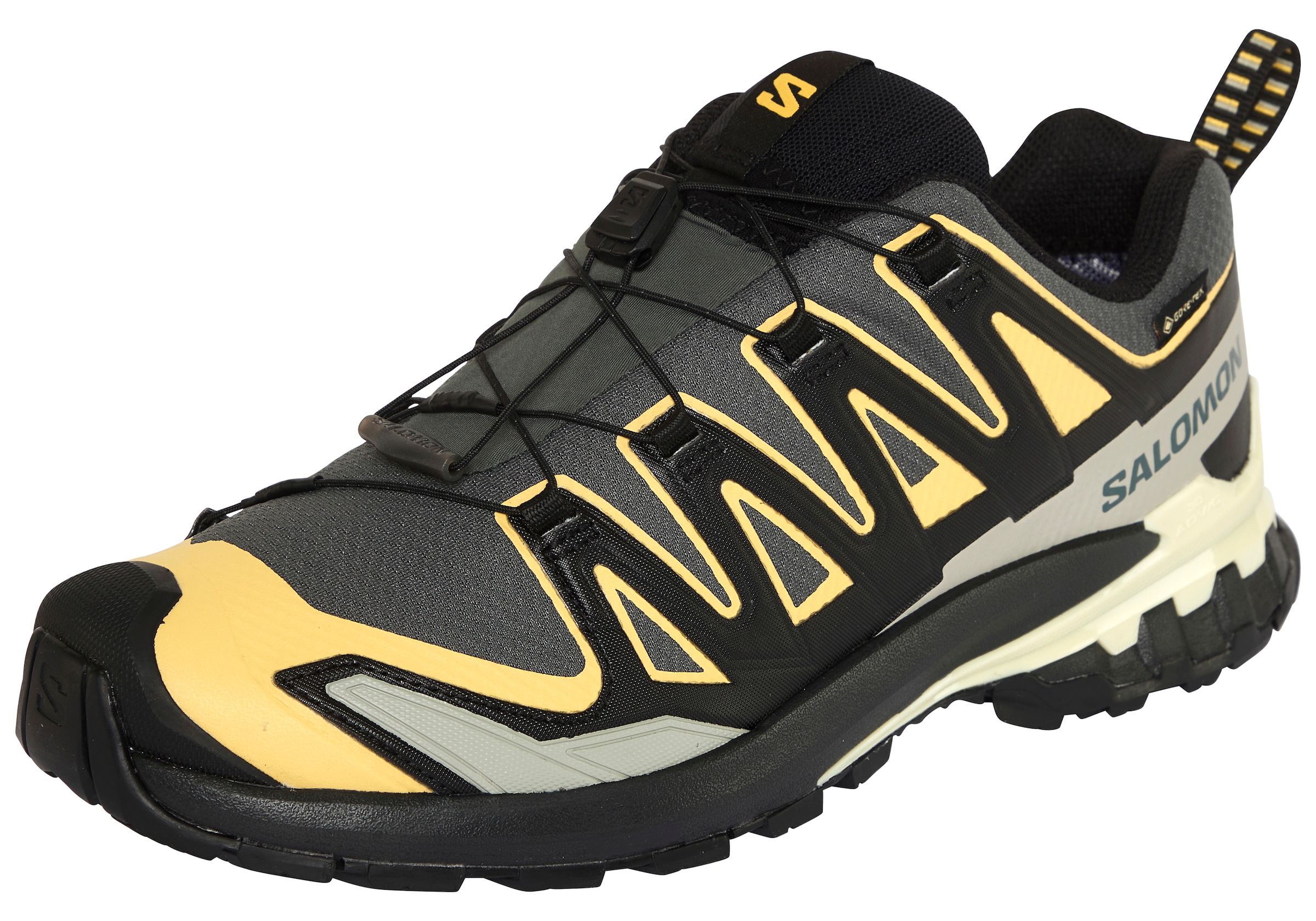 Salomon Laufschuh »XA PRO 3D V9 GORE-TEX«  wasserdicht