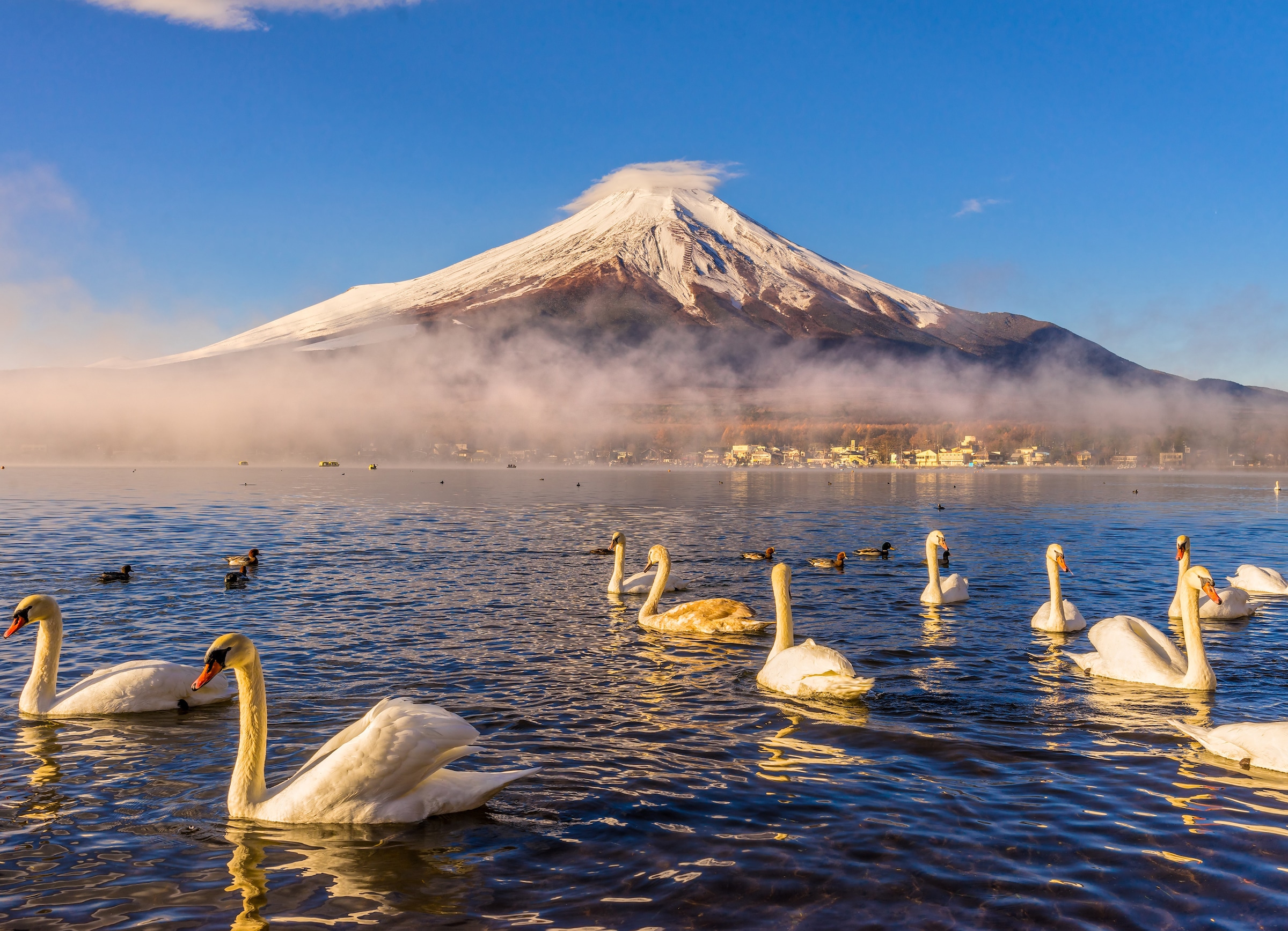 Fototapete »Mount Fuji«