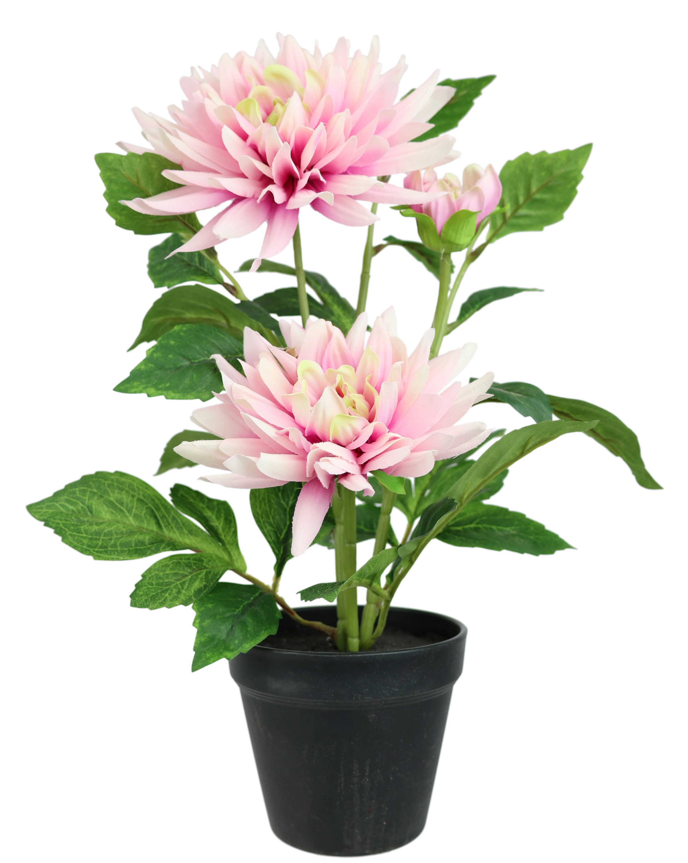 I.GE.A. Kunstblume »Chrysantheme im Topf 40cm« Kunstpflanze Pflanze Blume künstlich Deko Herbstdeko Seidenblume