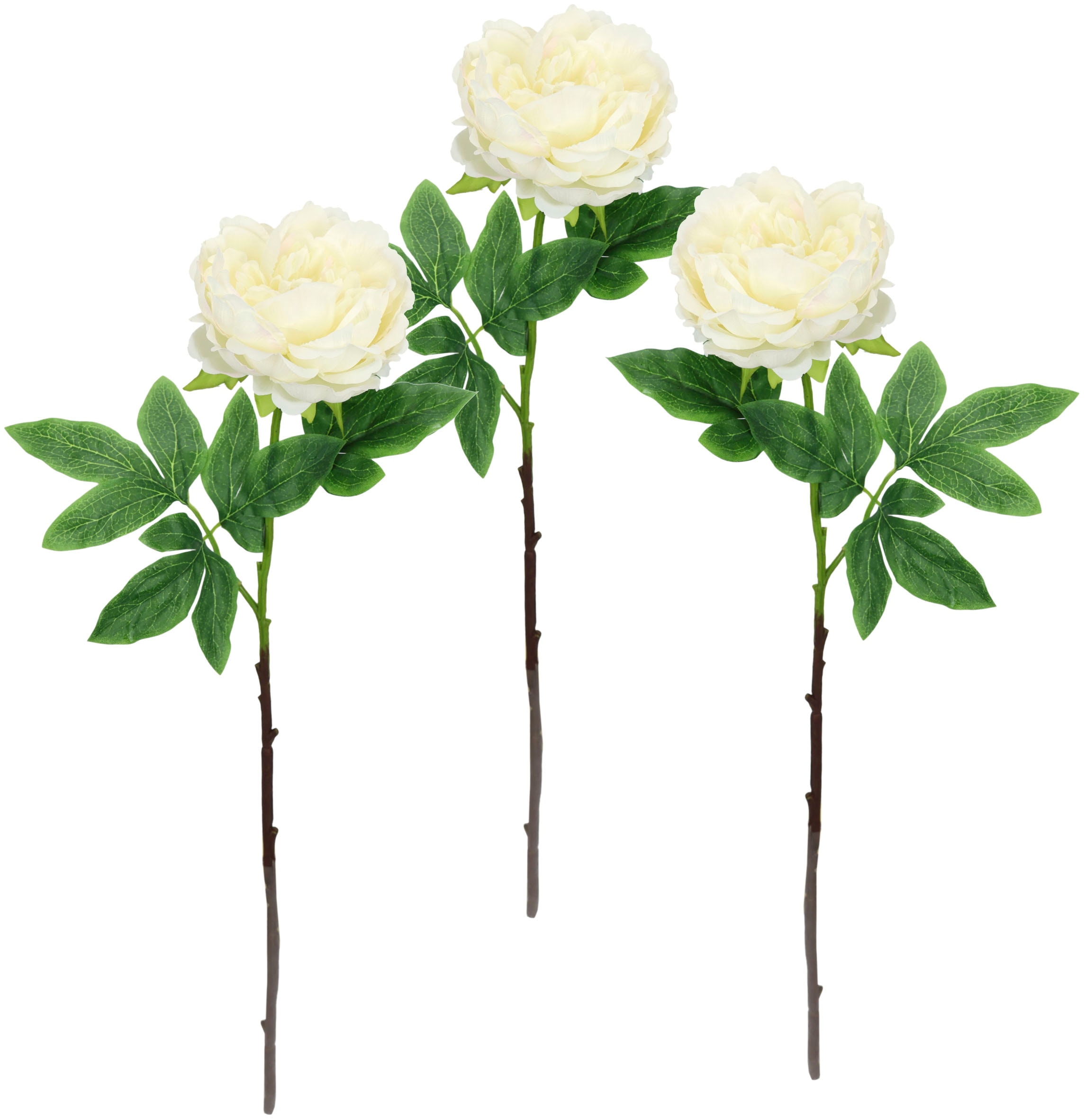I.GE.A. Kunstblume »Päonie Bauernrose«, Pfingstrosen Einzelblume, 3er Set