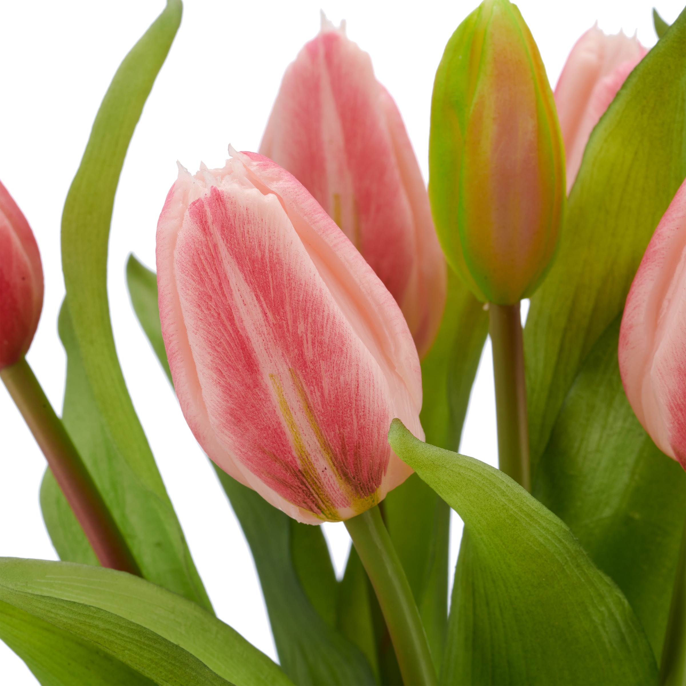 Creativ green Kunsttulpe »Tulpenbund« aus 7 Einzelstielen