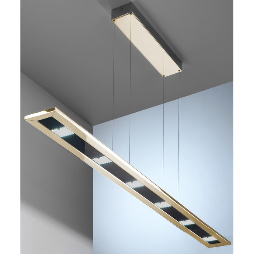 EVOTEC LED Pendelleuchte »DESIGNLINE«, LED-Board, Warmweiß-Neutralweiß-Tageslichtweiß, LED Hängelampe, LED Hängeleuchte, Farbwechsel