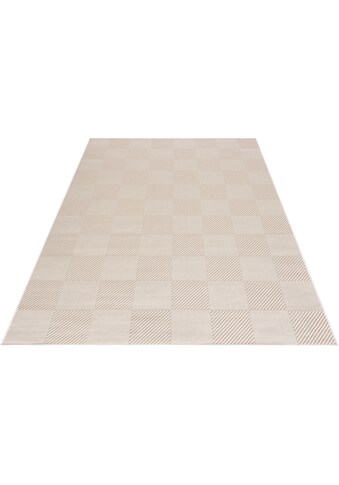 DELAVITA Teppich »Clara«, rechteckig, 8 mm Höhe, In- und Outdoor Teppich, Flachgewebe,... kaufen