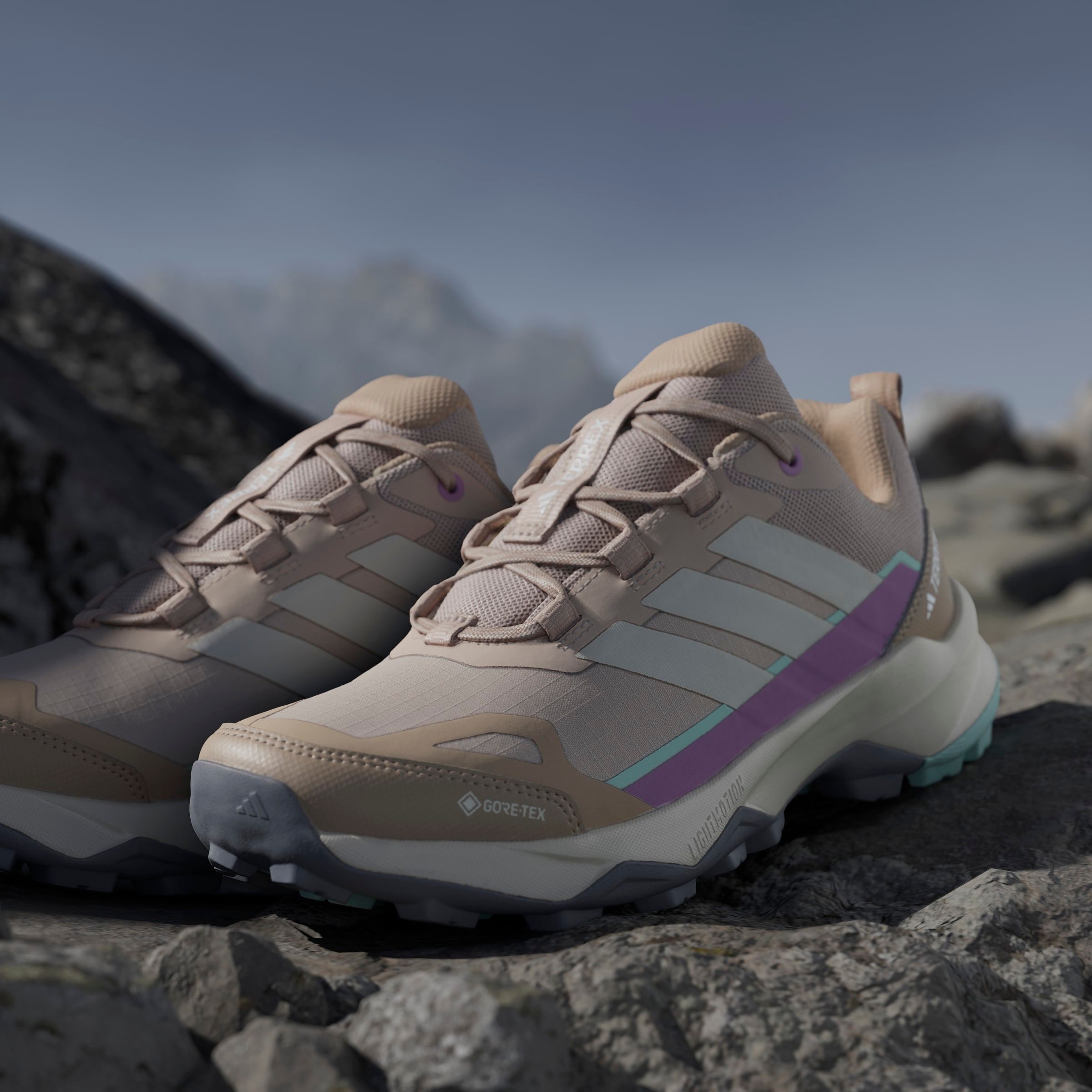 adidas TERREX Wanderschuh »SKYCHASER AX5 GORE-TEX«, wasserdicht