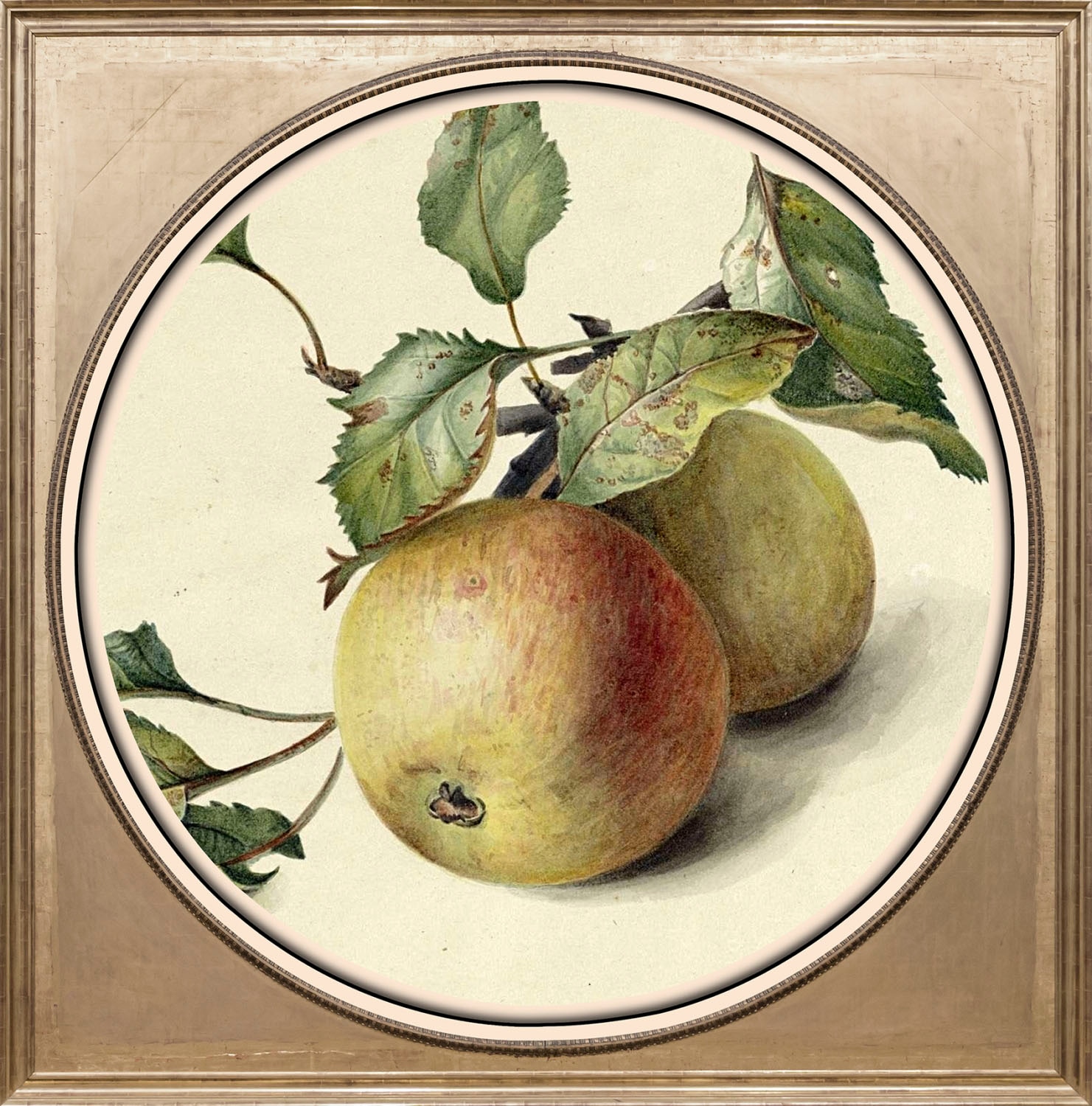 queence Acrylglasbild »Apfel«, Obst-Gemälde-Kunst-Obst Bilder, Fine Art-Print in Galeriequalität