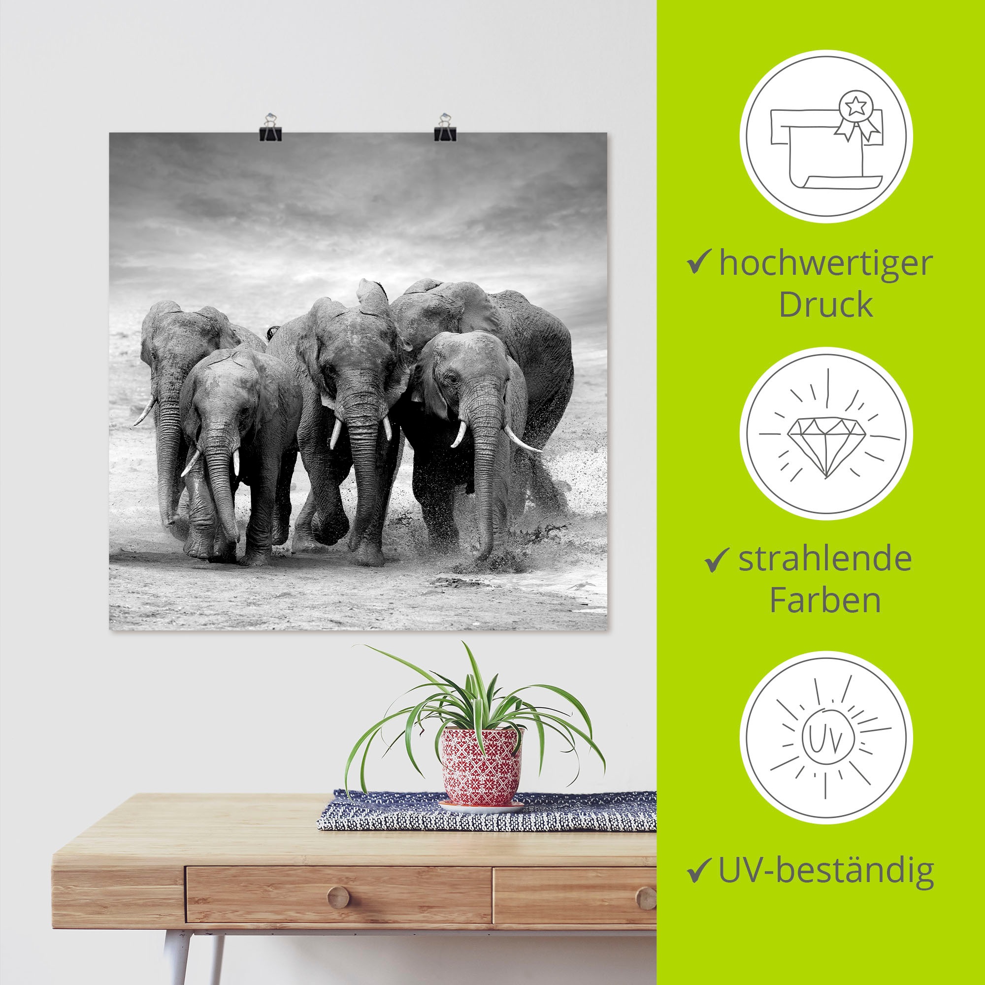 Artland Wandbild »Elefanten«, Wildtiere, (1 St.), als Leinwandbild, Poster, Wandaufkleber in verschied. Größen