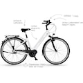 FISCHER Fahrräder E-Bike »CITA 3.1 - 504«, 7 Gang, Shimano, Nexus, Mittelmotor 250 W
