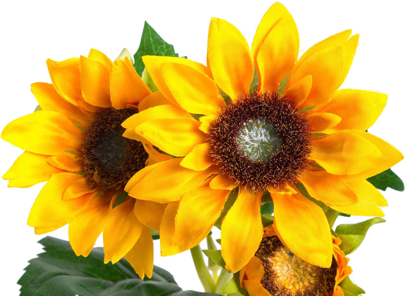 bestellen Botanic-Haus »Sonnenblume« Kunstblume bequem