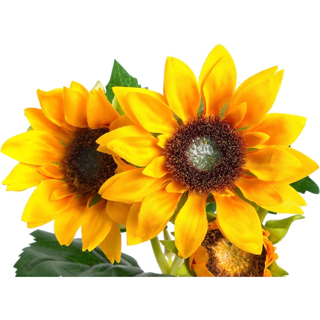 Botanic-Haus Kunstblume »Sonnenblume« bequem bestellen